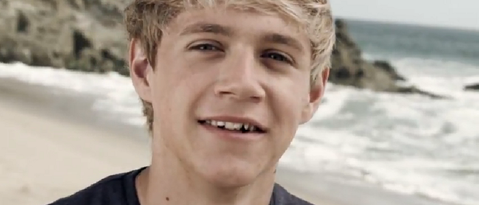 Niall Horan - One Direction