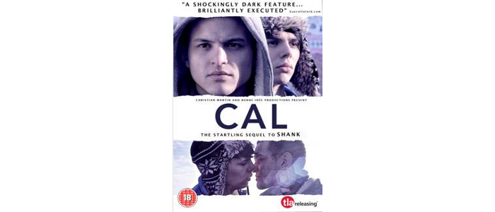 Cal 2013