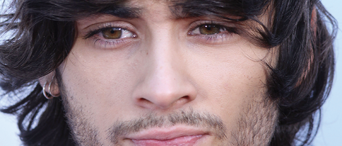Zayn Malik November 2014