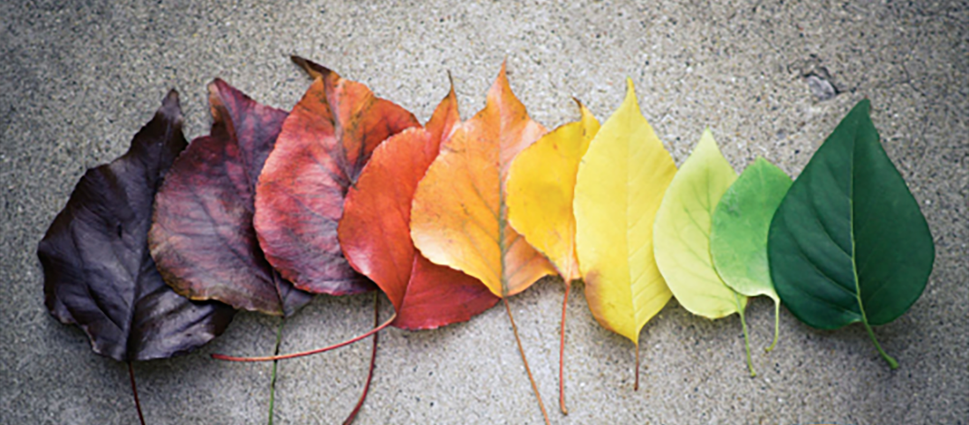 Fundamentals of LGBT Substance Use Disorders